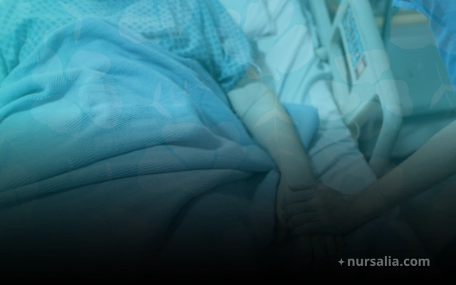 Enfermera Hemoterapista Funciones