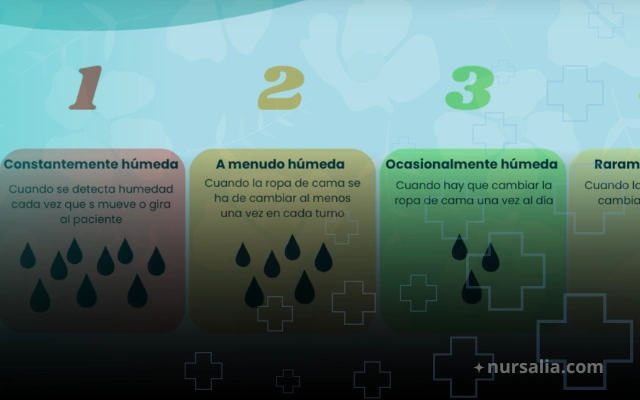 Cómo se aplica la Escala Norton