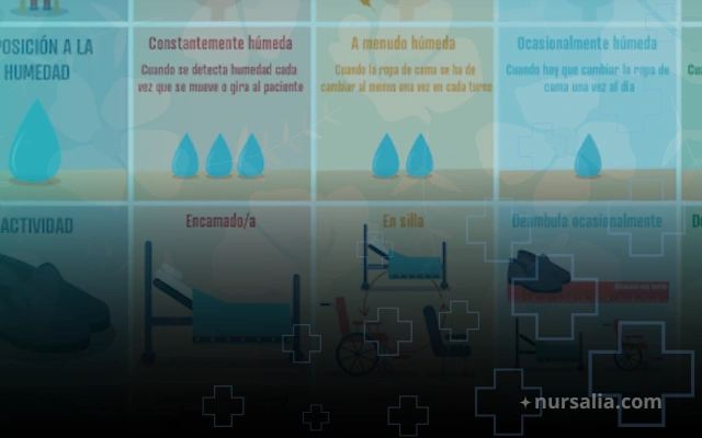 Componentes de la Escala Norton